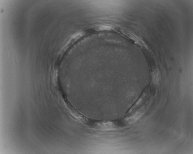 X0000065980517200603061218