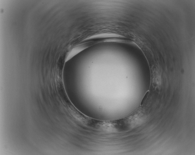 X0000065980518200603061218