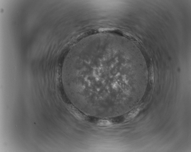 X0000065980519200603061218