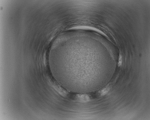 X0000065980520200603061217