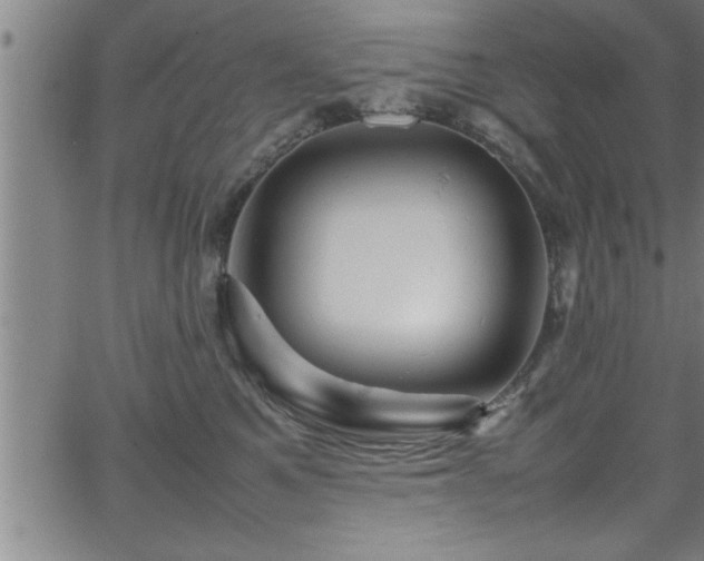 X0000065980521200603061217