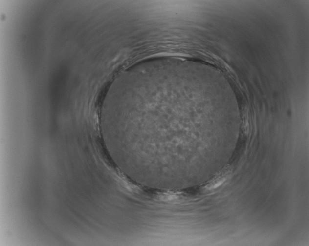 X0000065980523200603061217