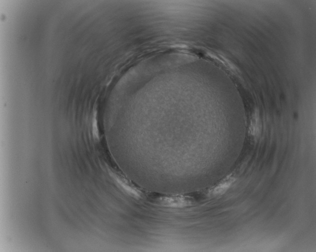 X0000065980524200603061217