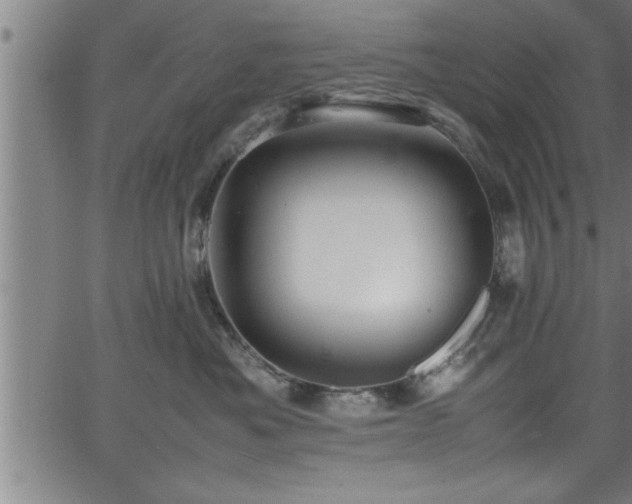 X0000065980525200603061217