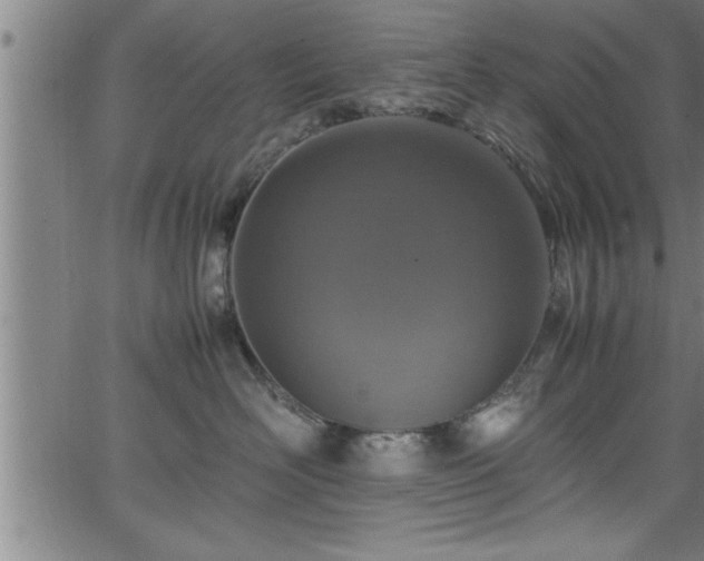 X0000065980526200603061217