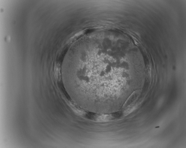 X0000065980527200603061217