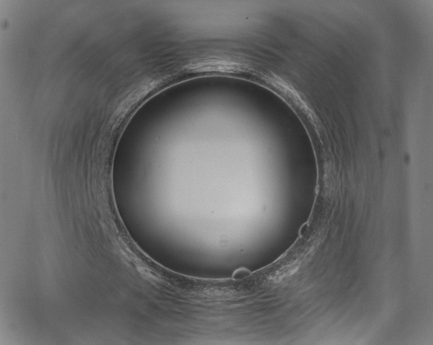 X0000065980529200603061217