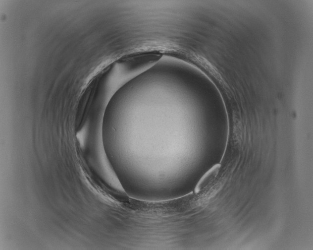 X0000065980530200603061217