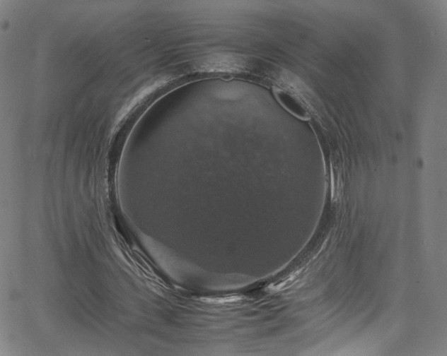 X0000065980531200603061217