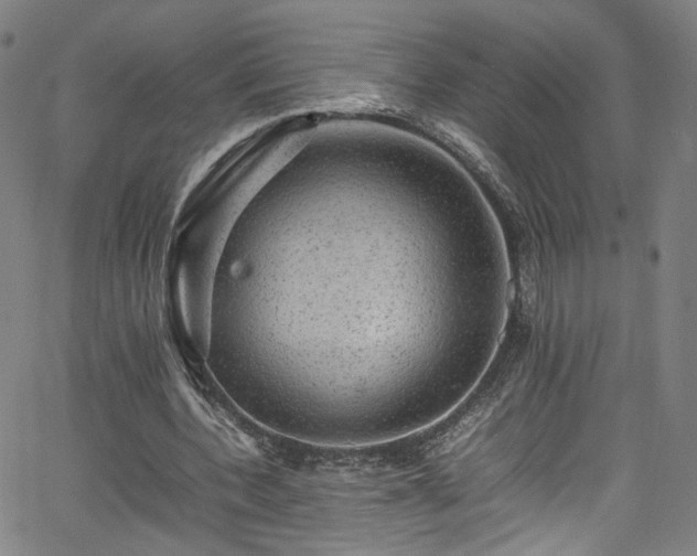 X0000065980532200603061217