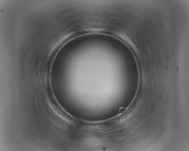 X0000065980533200603061217