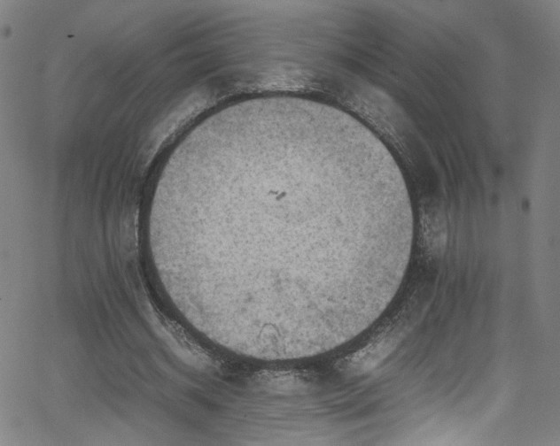 X0000065980534200603061217