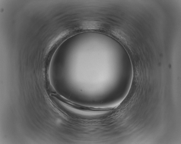 X0000065980535200603061217