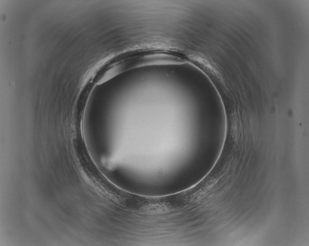 X0000065980536200603061217