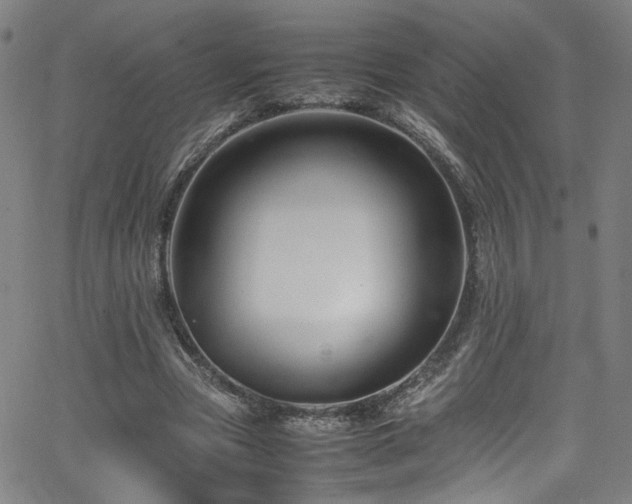 X0000065980537200603061217