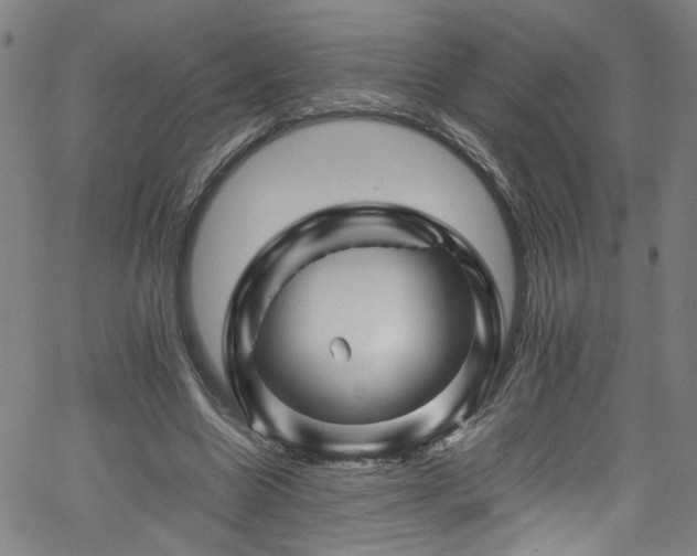 X0000065980538200603061217