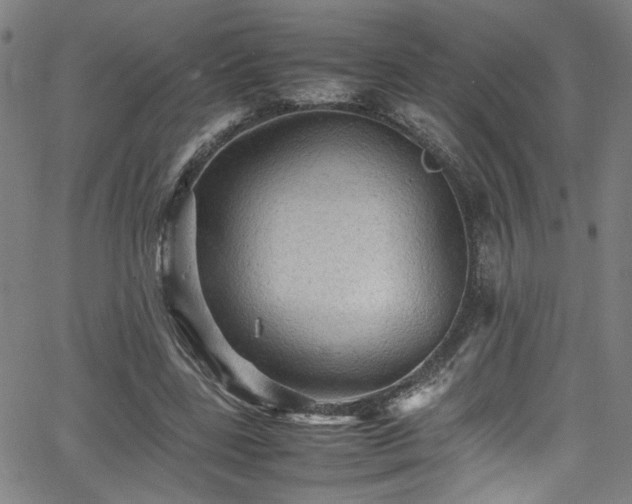 X0000065980539200603061217