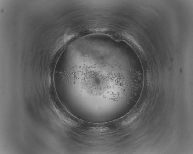 X0000065980541200603061217