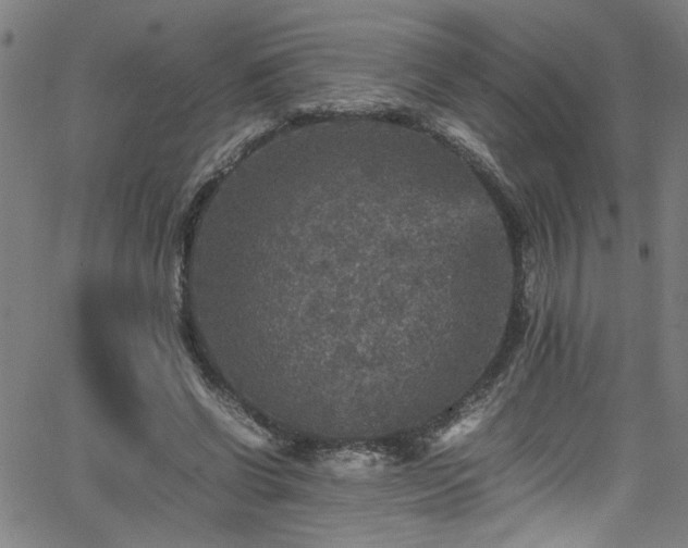 X0000065980542200603061217