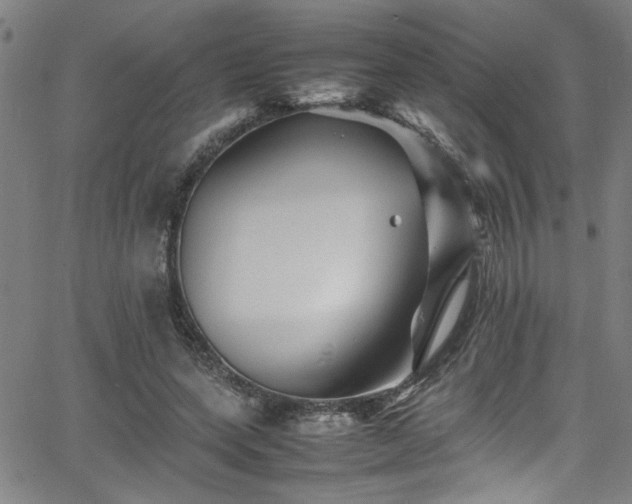 X0000065980543200603061217