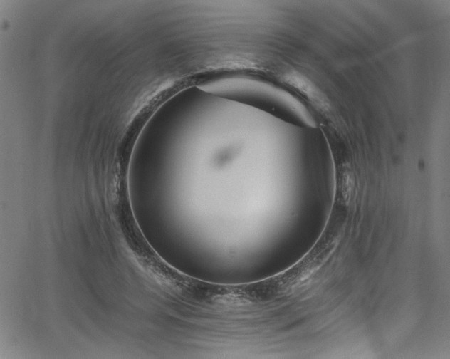 X0000065980544200603061217