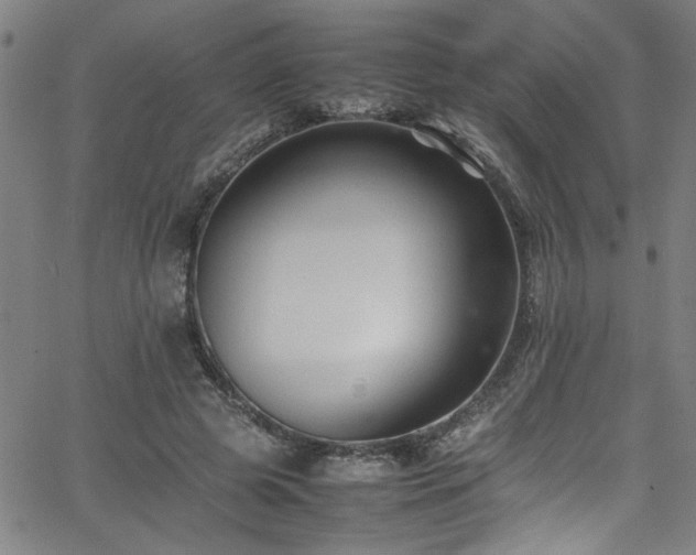 X0000065980545200603061217