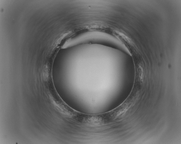 X0000065980546200603061217