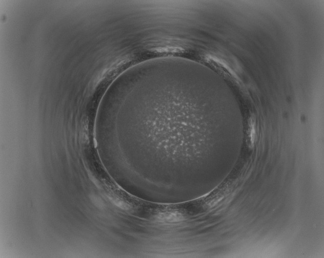 X0000065980547200603061217