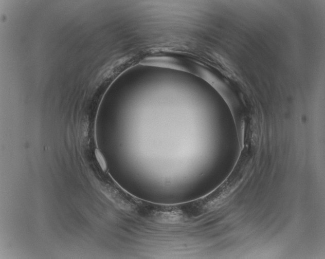 X0000065980548200603061217