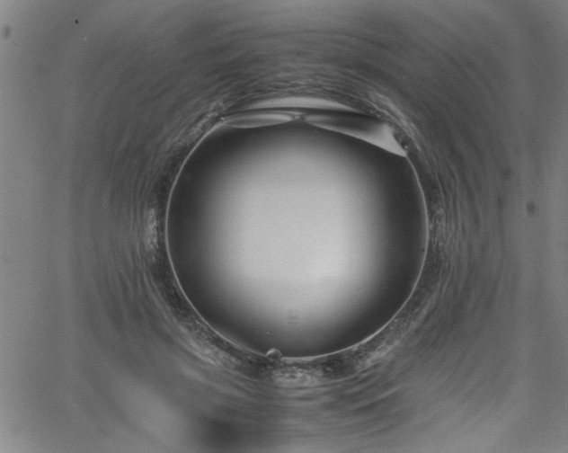 X0000065980549200603061217