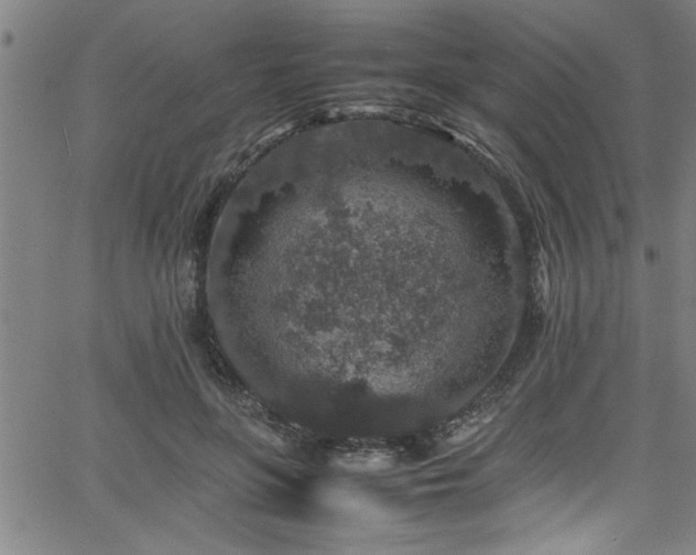 X0000065980551200603061217