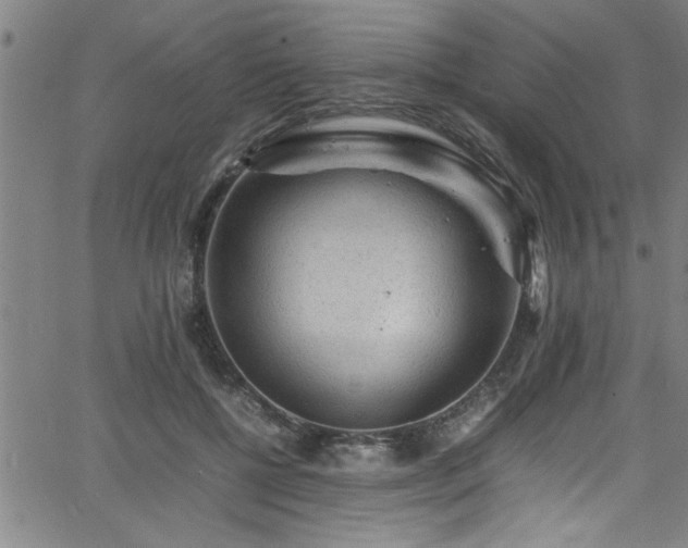 X0000065980552200603061217