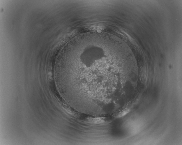 X0000065980553200603061217