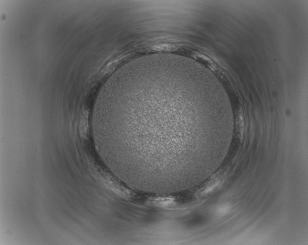 X0000065980554200603061217