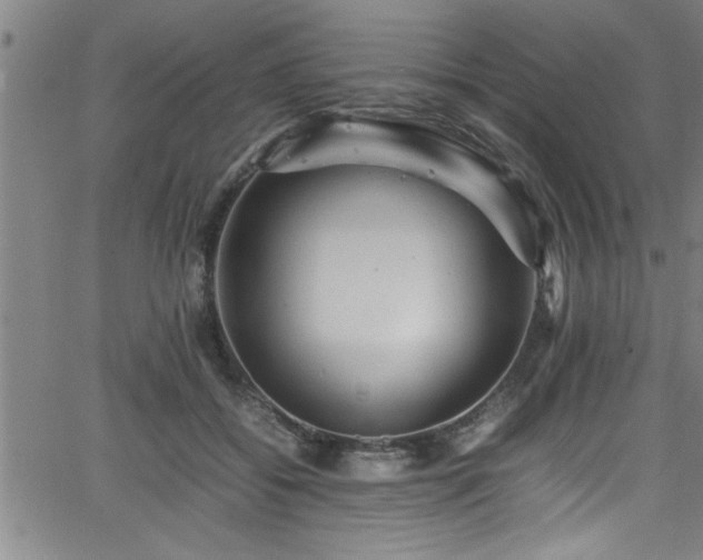 X0000065980556200603061217