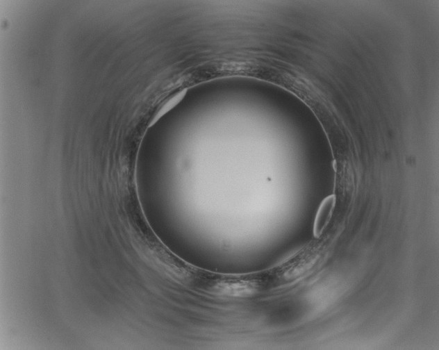 X0000065980557200603061217