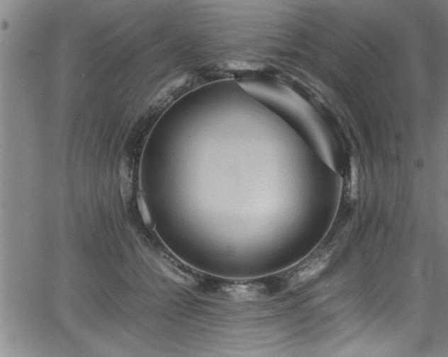 X0000065980558200603061217