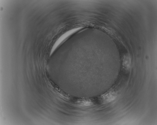 X0000065980559200603061217