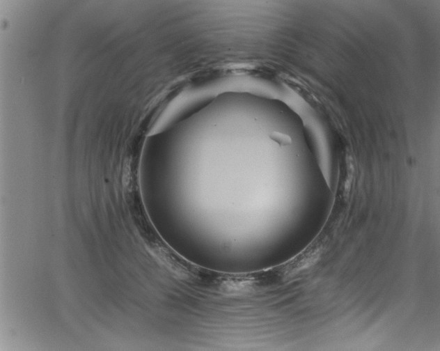 X0000065980560200603061217