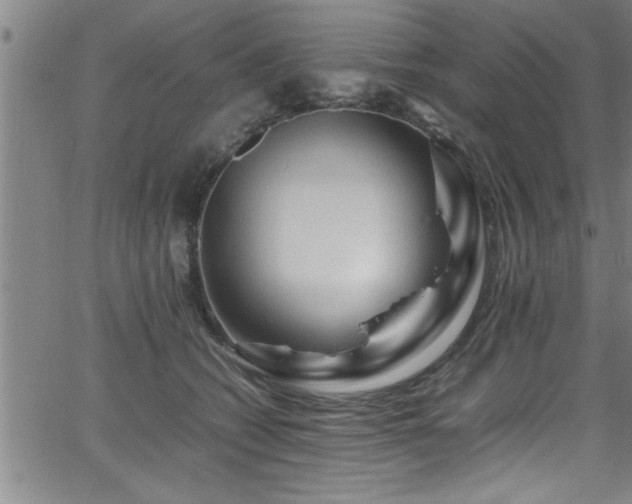 X0000065980562200603061217