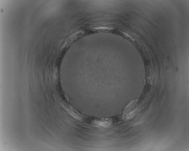 X0000065980563200603061217