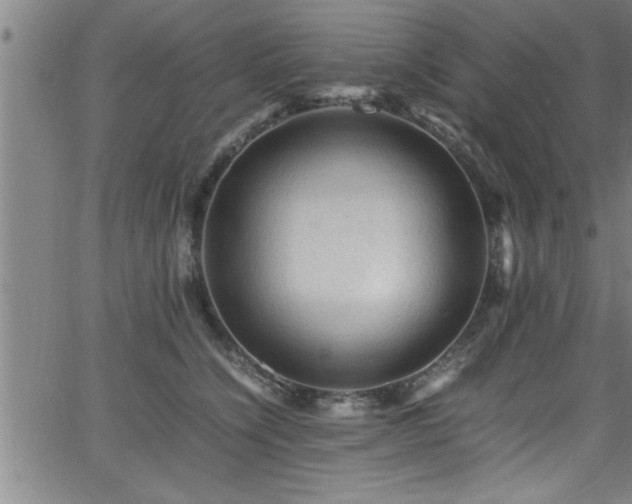 X0000065980564200603061217