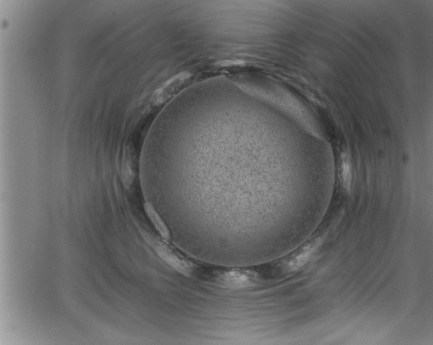 X0000065980566200603061217