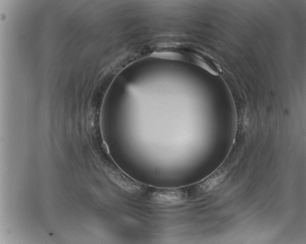 X0000065980567200603061217