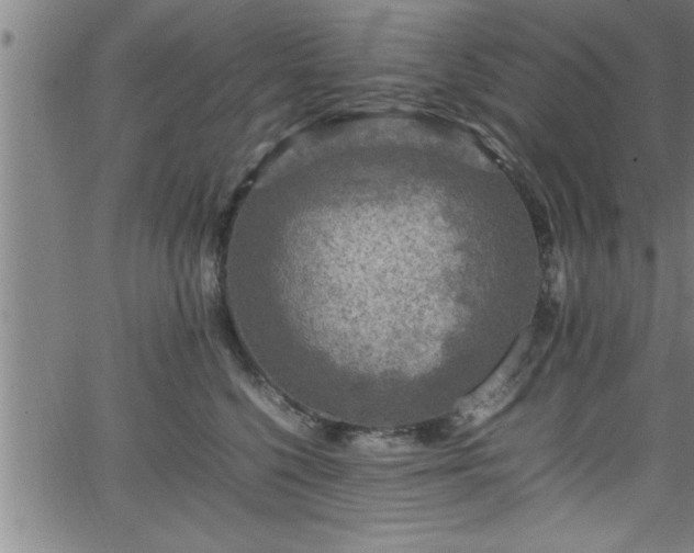 X0000065980568200603061217