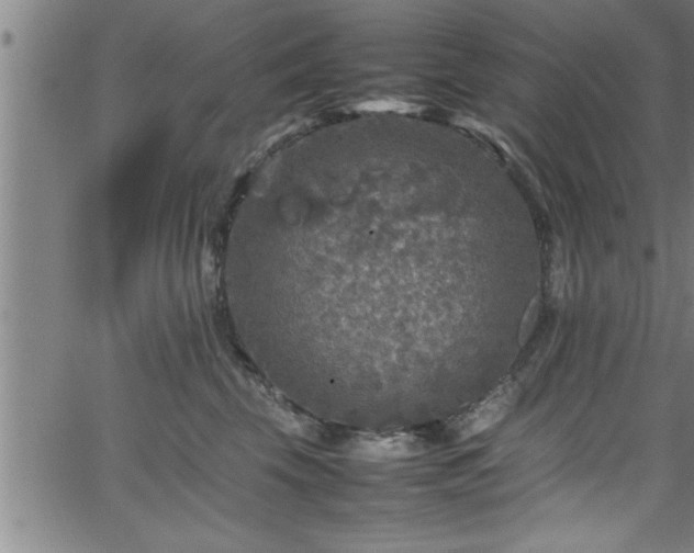 X0000065980569200603061217