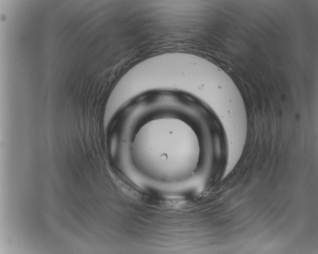 X0000065980570200603061217