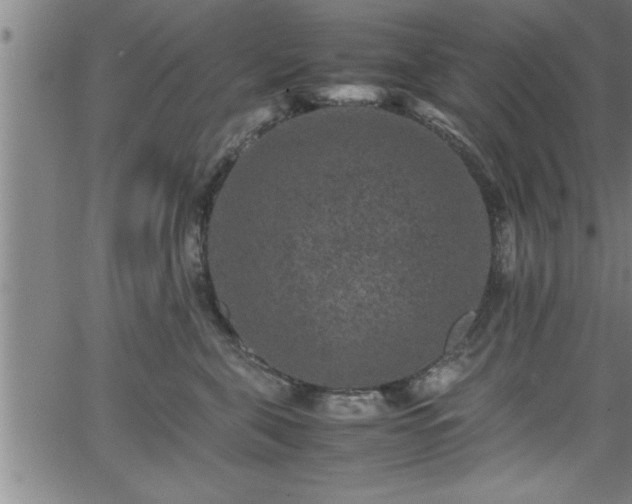 X0000065980571200603061217