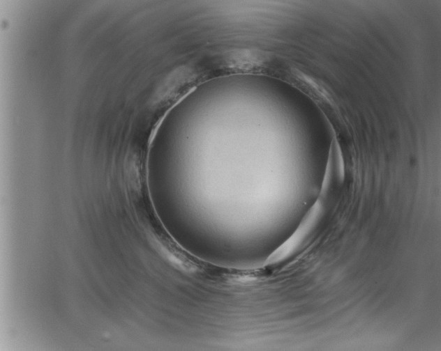 X0000065980572200603061217