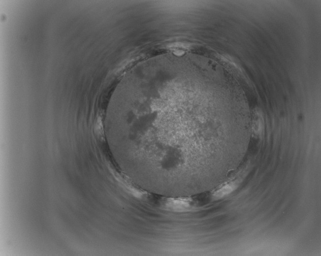 X0000065980573200603061217